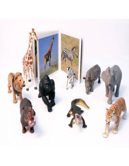 Cuento Imágenes Animales Salvajes en cartón