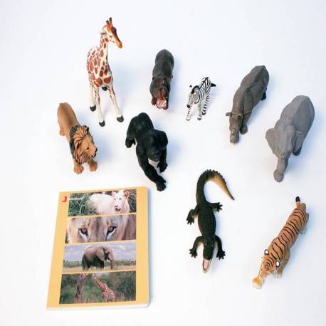 Cuento Imágenes Animales Salvajes en cartón