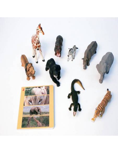 Cuento Imágenes Animales Salvajes en cartón