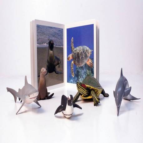 Cuento Imágenes reales - Animales Marinos Nowordbooks Nowordbooks 2