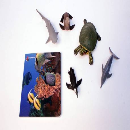 Cuento Imágenes reales - Animales Marinos Nowordbooks Nowordbooks