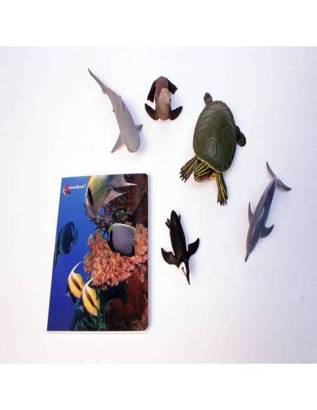 Cuento Imágenes  Animales Salvajes cartón