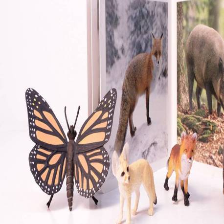 Cuento Imágenes reales - Animales del Bosque Nowordbooks Nowordbooks