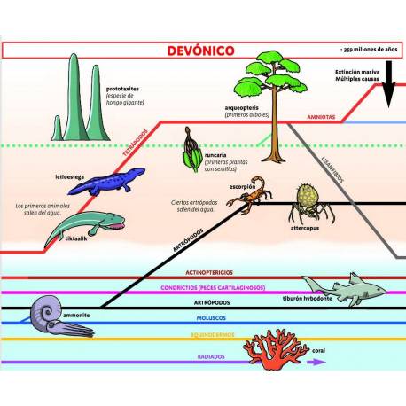 Lenguaje, escritura y lectura con Montessori