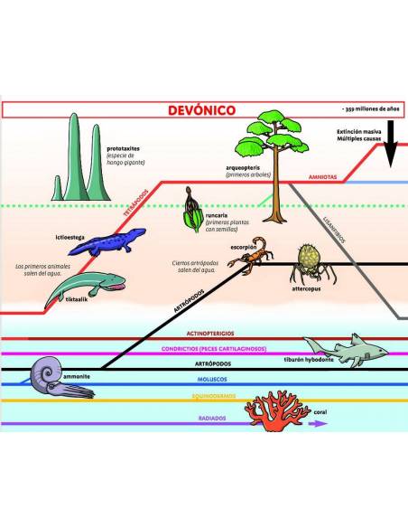 Lenguaje, escritura y lectura con Montessori
