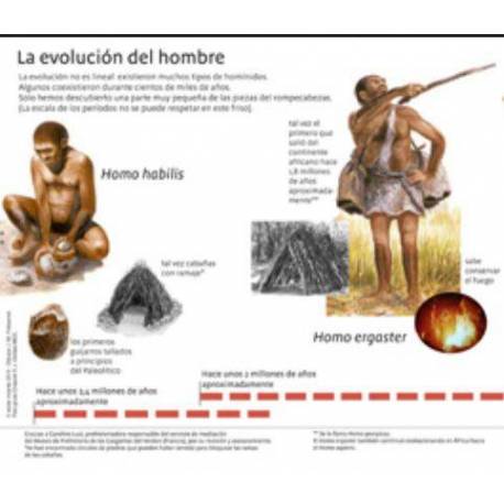 Lenguaje, escritura y lectura con Montessori