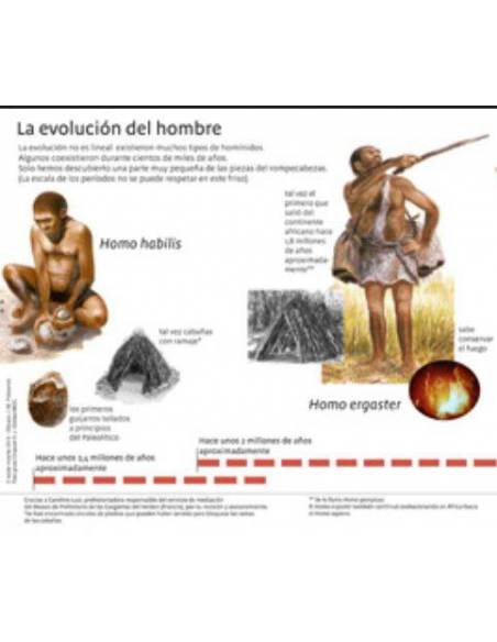 Lenguaje, escritura y lectura con Montessori