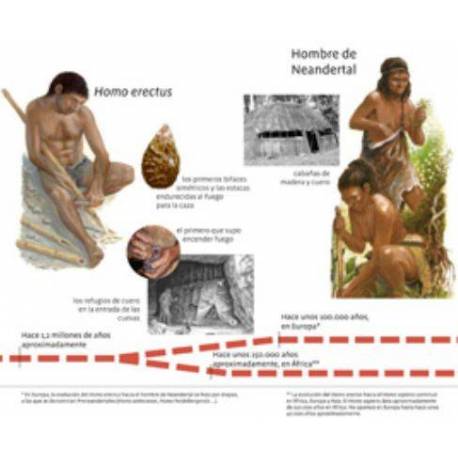 Libro Las líneas de tiempo Montessori Escuela Viva Manuales Montessori