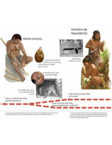 Lenguaje, escritura y lectura con Montessori