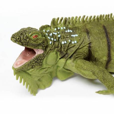 Iguana  Animales Grandes