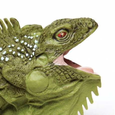 Iguana  Animales Grandes