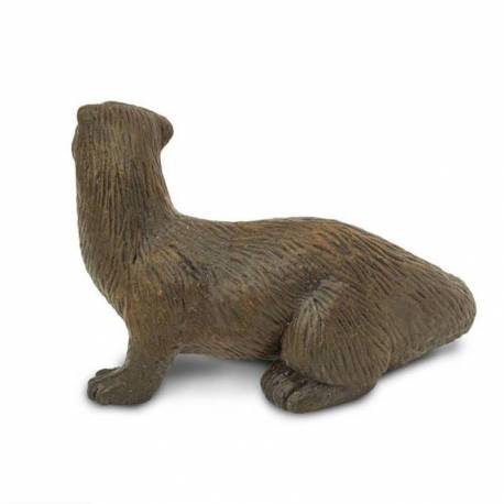 Nutria de río  Animales Grandes