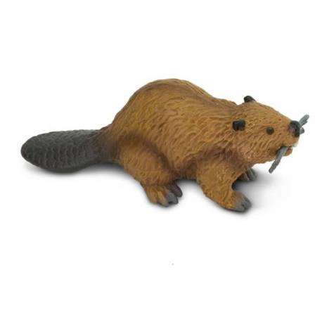 Castor  Animales Grandes