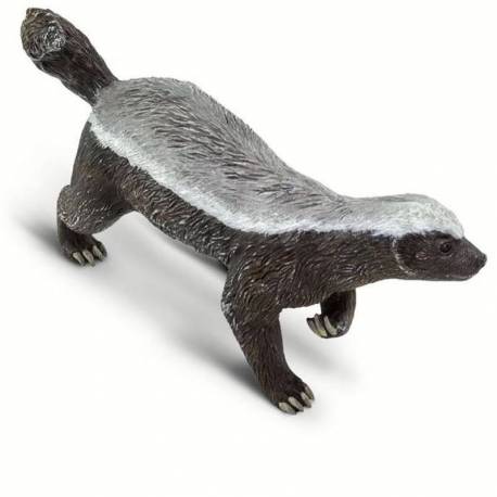 Tejón de miel  Animales Grandes