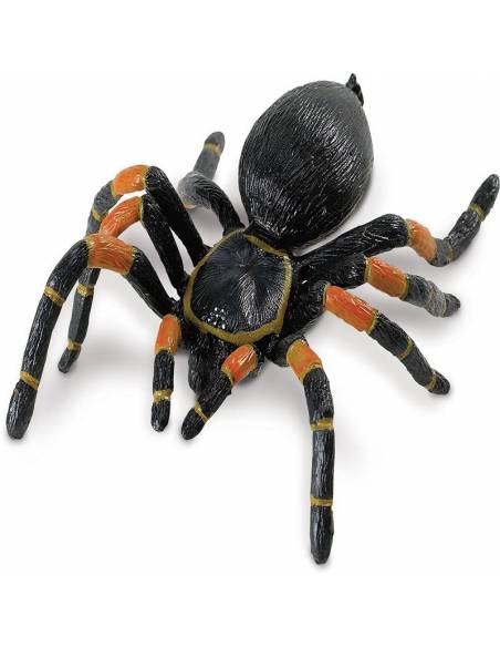 Tarántula  Animales Grandes