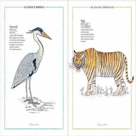 Inventario ilustrado de animales  Libros con Imágenes Reales 2