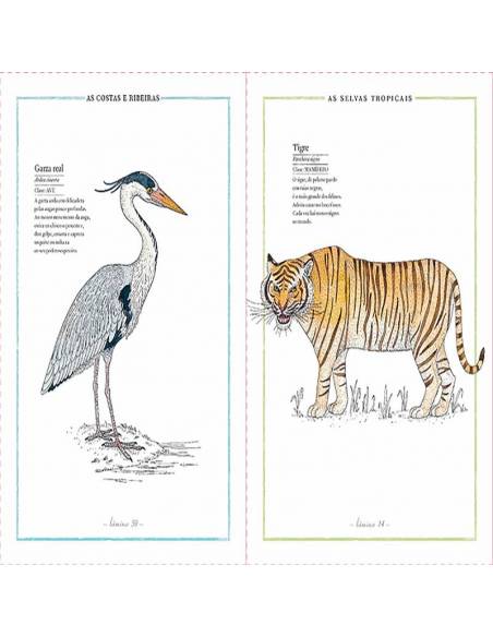 Inventario ilustrado de animales  Libros con Imágenes Reales