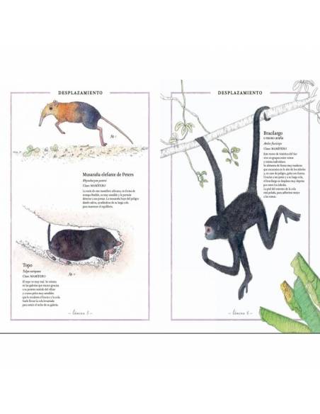 Inventario ilustrado de animales  Libros con Imágenes Reales