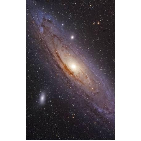 Las grandes historias Montessori