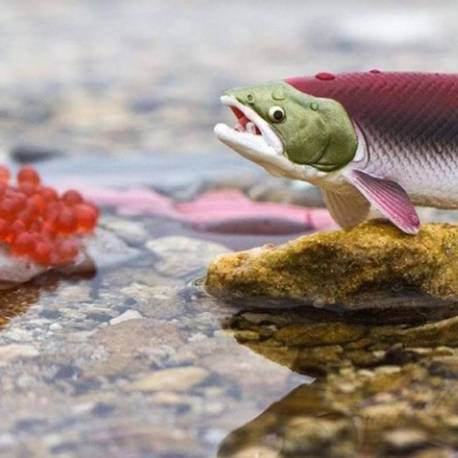 Roma antigua - Super toob