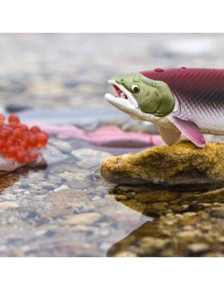 Roma antigua - Super toob