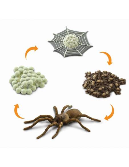 Roma antigua - Super toob