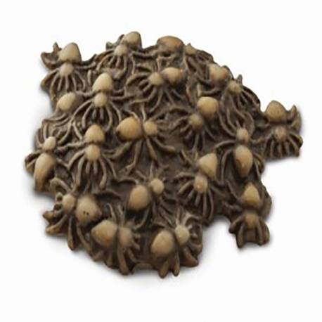 Roma antigua - Super toob