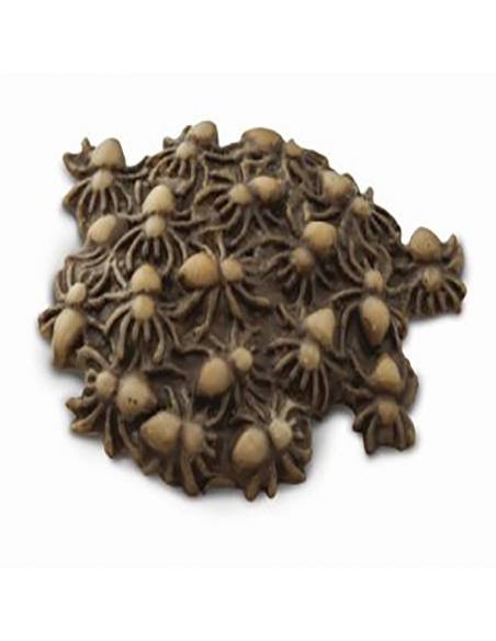 Roma antigua - Super toob