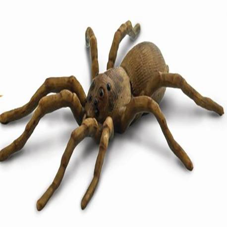 Ciclo de vida araña Safari LTD Ciclos de la vida