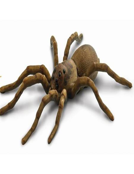 Roma antigua - Super toob