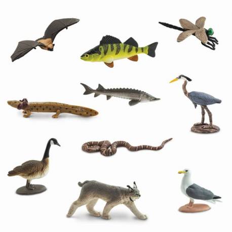 Grandes lagos  Toobs Animales