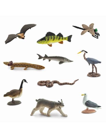 Roma antigua - Super toob