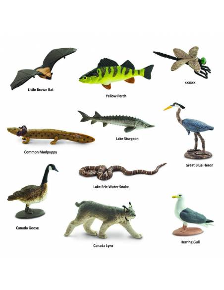 Roma antigua - Super toob