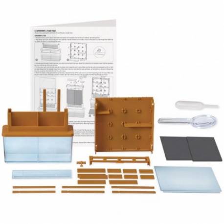 Laberinto para plantas 4M Ciencia y medio ambiente