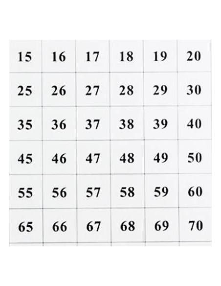 Láminas tablero de 100