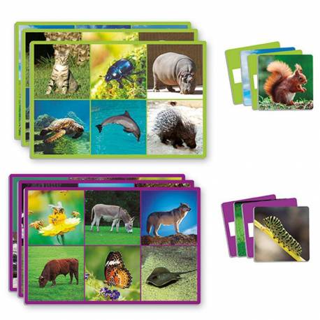 Loto: 72 animales 2