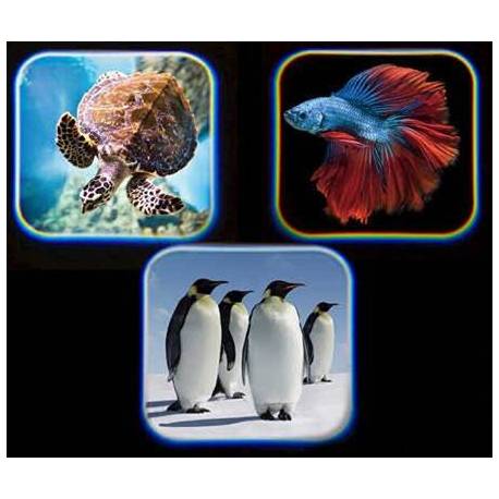 Linterna Animales del Mar 2