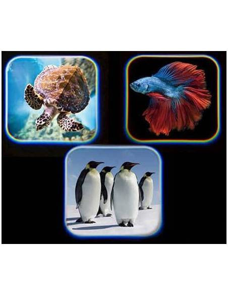 Linterna Animales del Mar