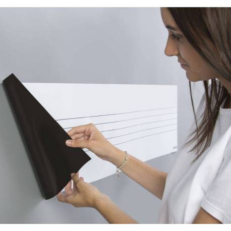 Pizarra Musical y Notas Magnéticas