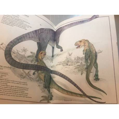 Inventario ilustrado de dinosaurios  Libros con Imágenes Reales 2