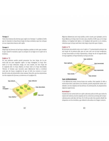 Lenguaje, escritura y lectura con Montessori