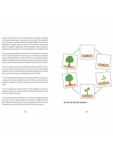 Lenguaje, escritura y lectura con Montessori