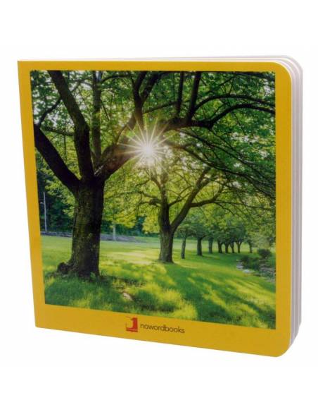 Real Fotostale - Estate