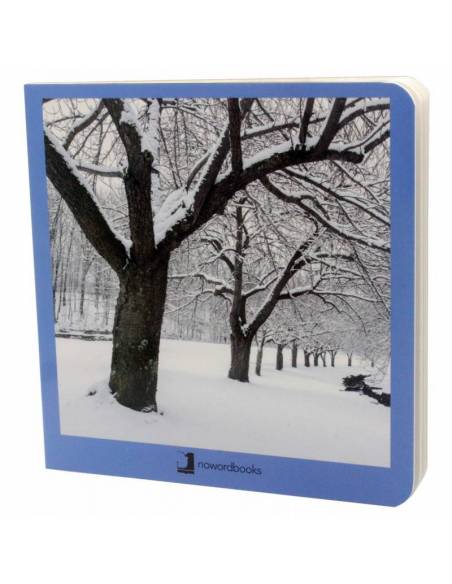 Immagini reali - Inverno