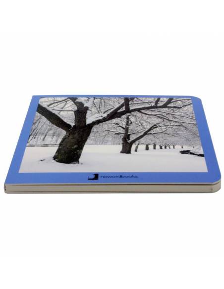 Immagini reali - Inverno