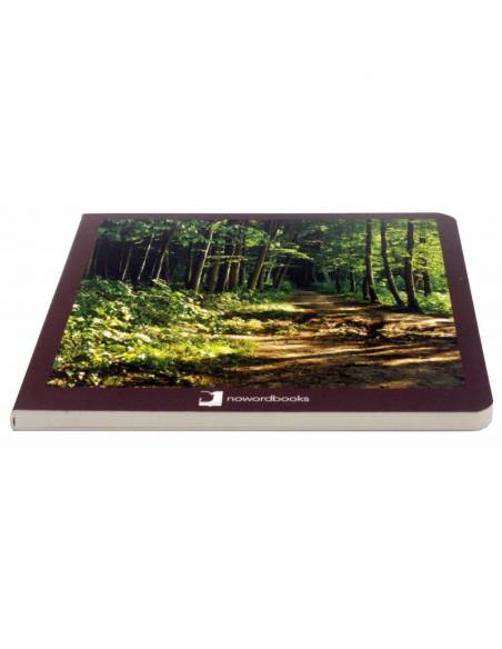 Immagini reali - La foresta