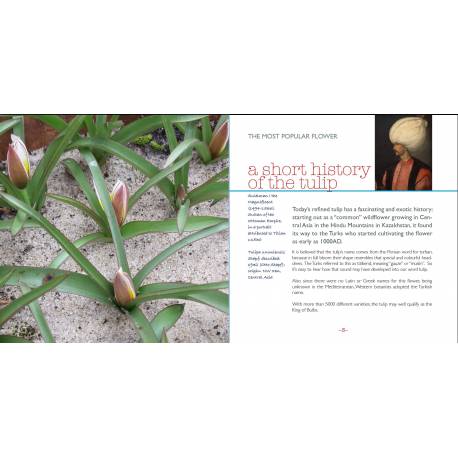 Il libro tulipano - Montessori