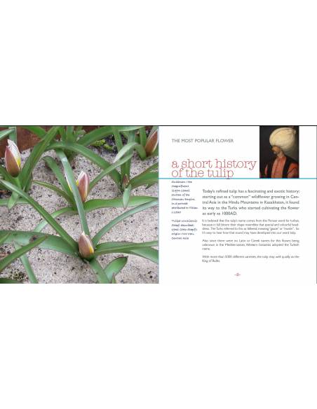 Il libro tulipano - Montessori