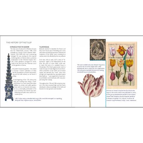 Il libro tulipano - Montessori 2