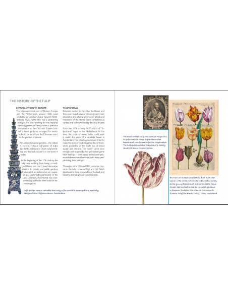 The tulip Book - Montessori  Montessori guide books